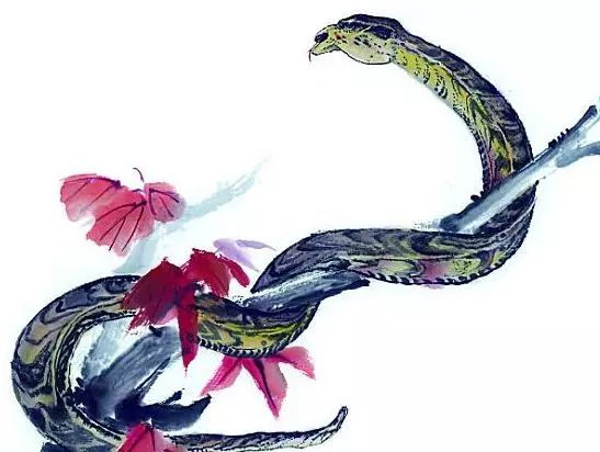 『属蛇』蛇人:明天有“喜事”新闻,十年一遇!看完忍不住红了眼眶!