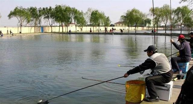 ：仲春鲫鱼不好钓5个正反向选择，让春钓鲫鱼不再难