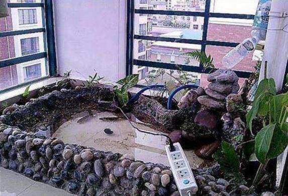 【】我和老公把阳台做了鱼池，晒到业主群，楼下马上找上门来了！