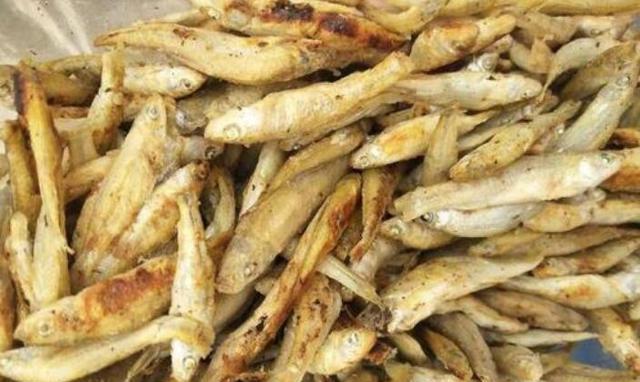 蚊子■一半天使一半恶魔,在我国晒干一斤30元,却在欧洲被列为入侵物种