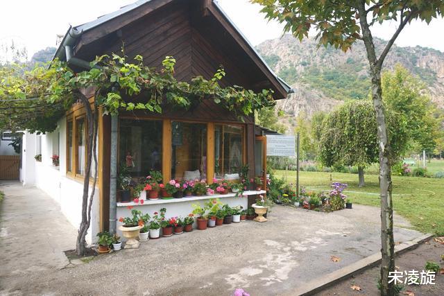 |是科学还是故弄玄虚？盲眼神婆语出惊人，未来真的如她所料吗？