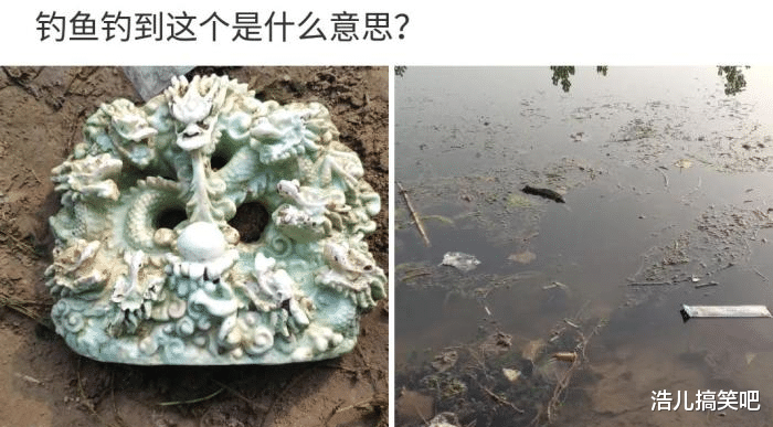 房价|“第一次去丈母娘家，这样招待我是几个意思？这是要被供起来吗”？哈哈哈