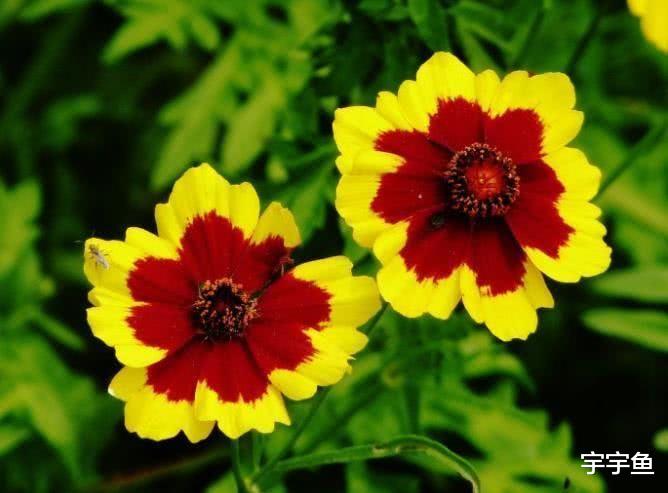 旧爱|9月开始富贵入家宅，事业大展宏图，东山再起的四大属相