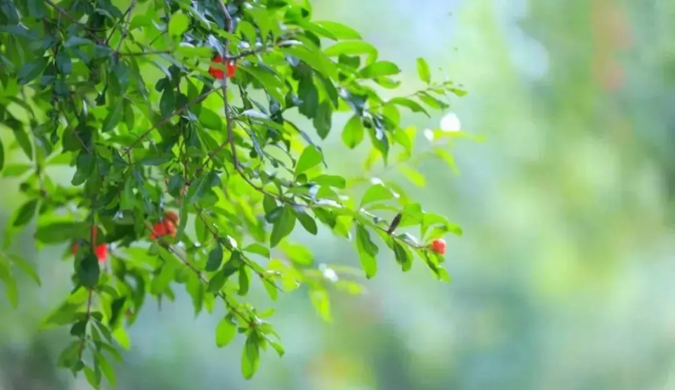 生肖|9月喜事成双来，10月大吉大利发大财，4生肖大运临头，天天哈哈笑