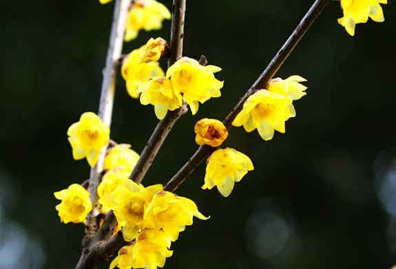 吉星@未来两个月，4属相工作得心应手，事业发展顺遂，贵人赏识提拔