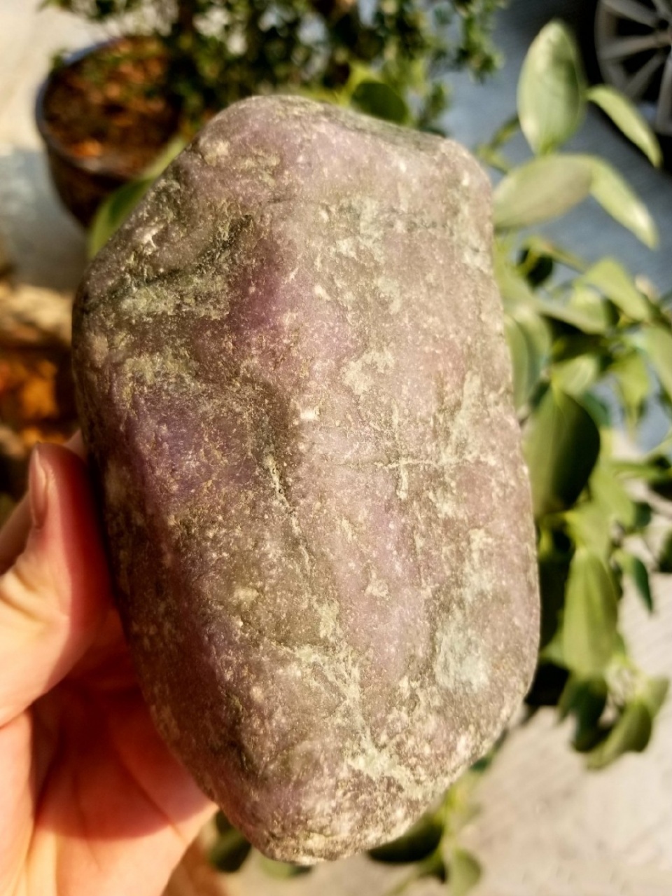 「」大叔酒后说胡话，支支吾吾2W买下原石，一刀切开假牙都卡掉了！