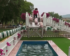 |这父亲也太逗了,孩子都要大学毕业了,他还以为今年参加高考