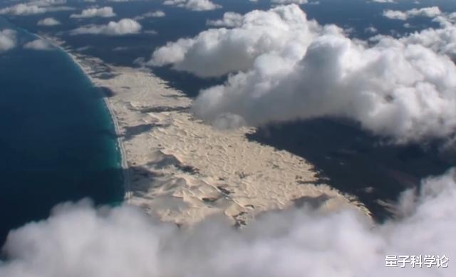 『哺乳动物』地球上「蛋蛋」最大的生物是什么？