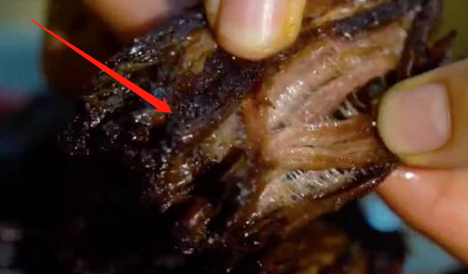 「土豆」李子柒做的“牛肉干”能吃吗？看到无滤镜食物，网友：送我也不吃