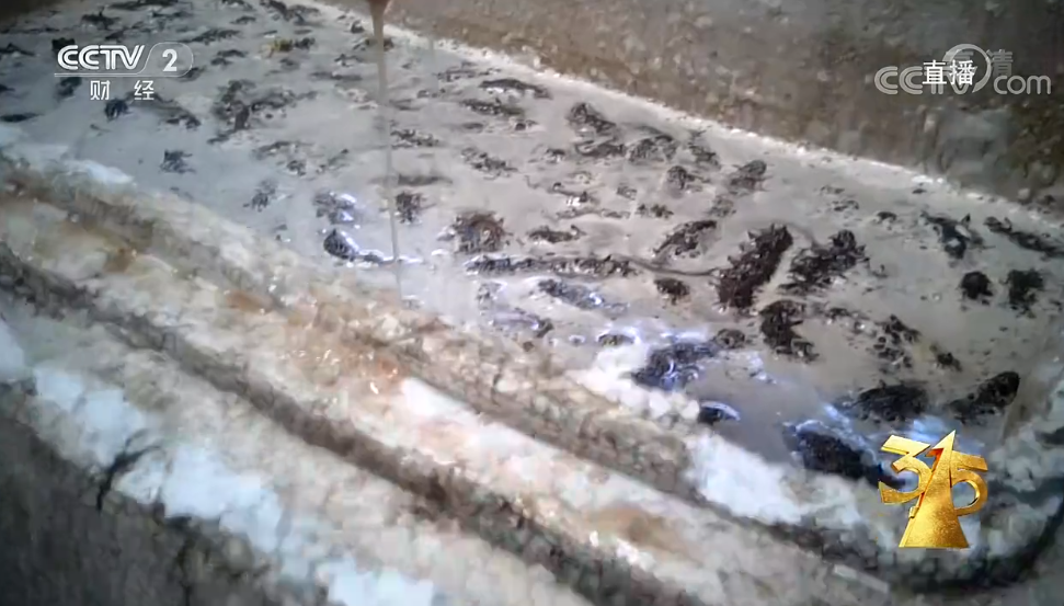 汉堡王|道歉、回应！3·15晚会还没播完，这些企业火速赶来……