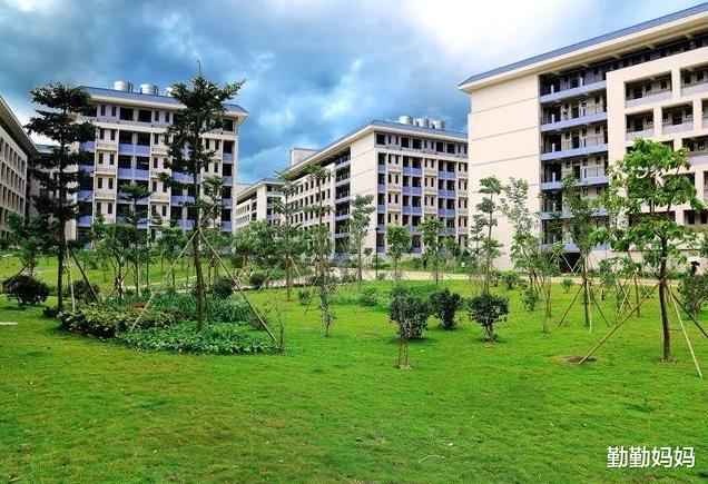 数学|同样是专科，“职业学院”和“专科学院”有啥区别？存在5点差异