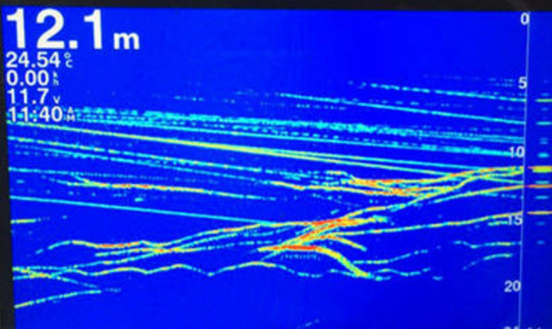 @筏钓钓鱼，我选的钓位总出米级，钓位真的很重要吗？