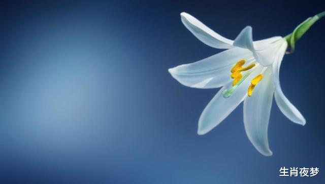 处女座|8月底，破镜重圆，旧情复燃，3生肖纠缠旧情人，余生爱得不离不弃