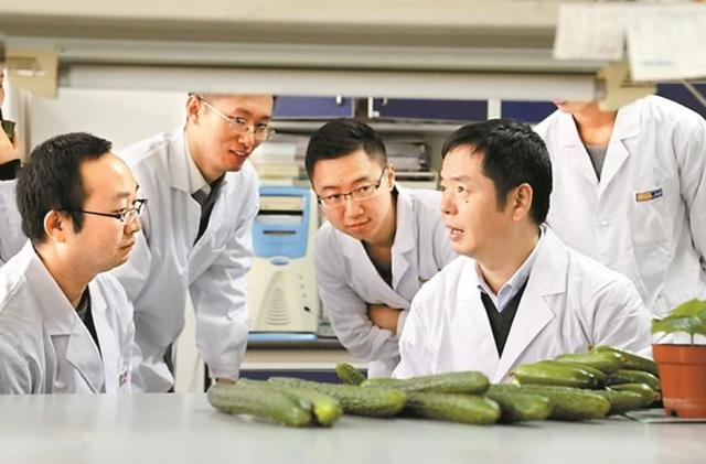 考研|建议必考研的5个本科专业！某人：因这个原因，被逼无奈！