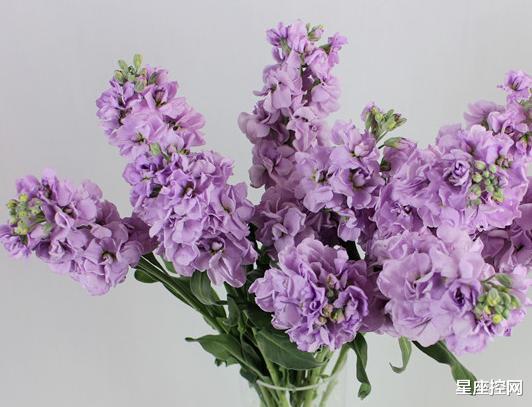 见多识广|哪些月份出生的人，见多识广有远见，9月突破自我，事业蒸蒸日上