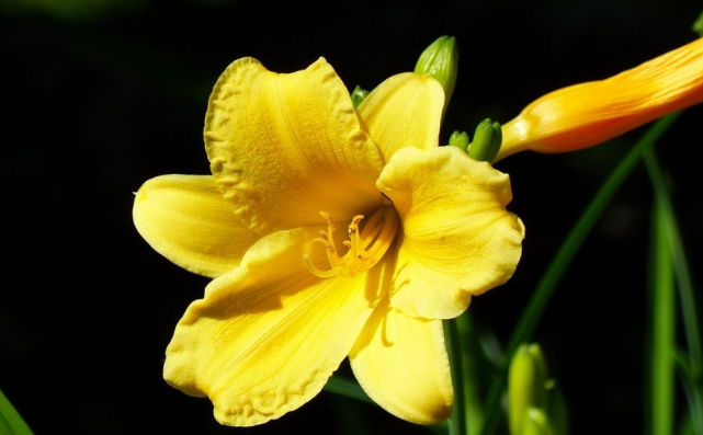 生肖|9月20号这三生肖横财大赚，吉星庇佑，大吉大利，钱财收获多多