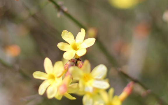 爱情运|十月中旬开始，财运爆表，大财连连，贵人支持的生肖