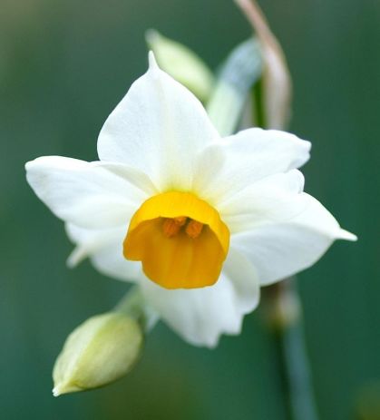 吉星|9月16号开始,4属相吉星当头,好运相伴,心想事成,名利双收