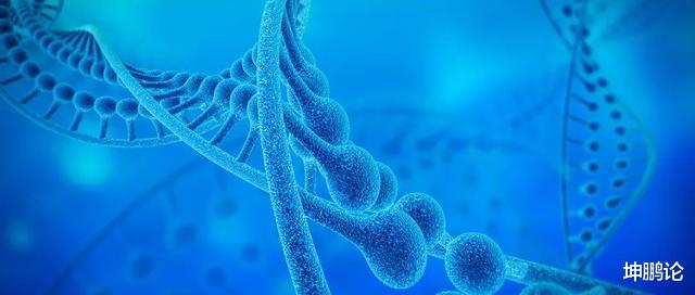 『坤鹏』坤鹏论：生命以负熵为食！