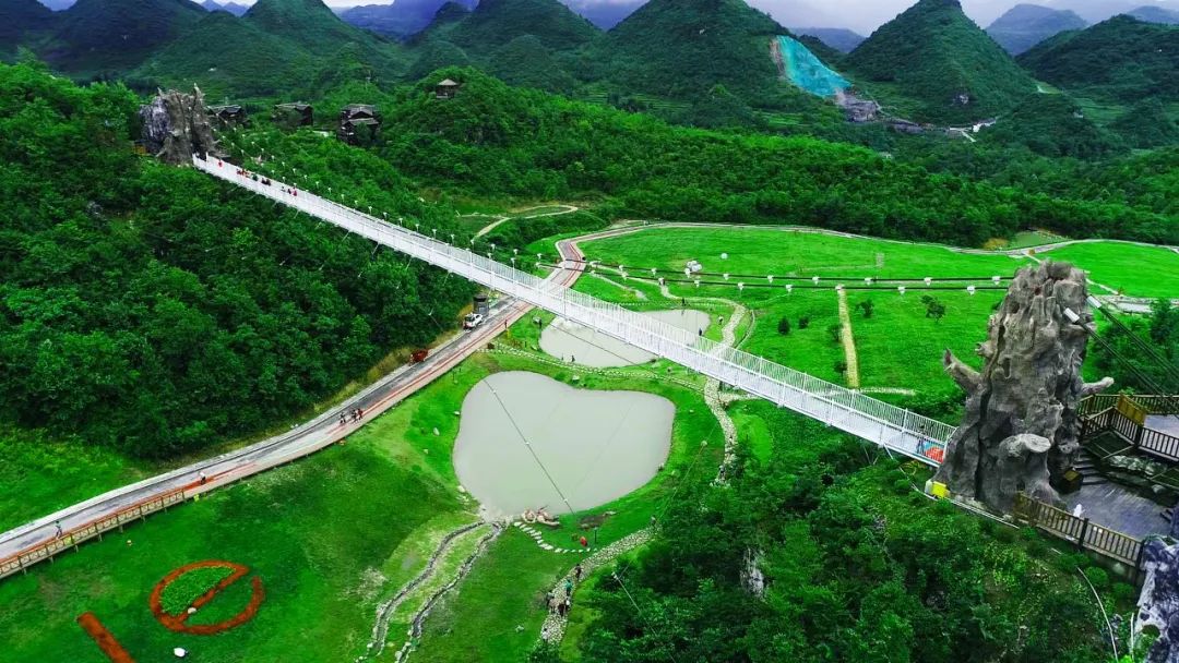 「狐狸」惊艳全世界！贵州百里杜鹃花开成海：9类人免票