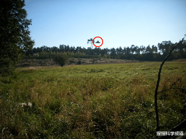 「UFO」实拍:不明飞行物在森林上盘旋,UFO研究人员:这是个真正的物体