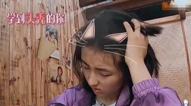 张子枫|张子枫文化课不足400分？学霸人设翻车，不参加会考被疑享有特权