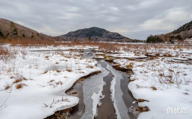 运势|9月，喜鹊报喜，红娘牵线，桃花运大涨，爱情永相随的3个星座