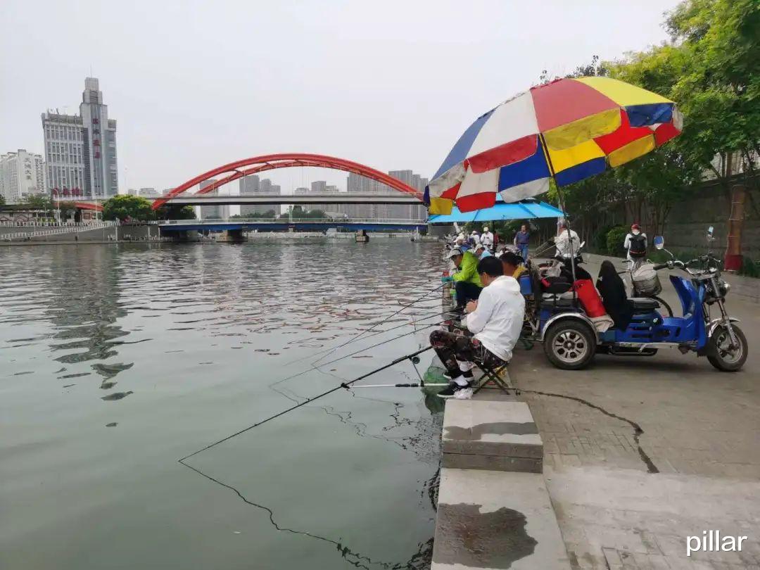 「海河」【柱子七彩早餐】端午节，从南运河跑到海河
