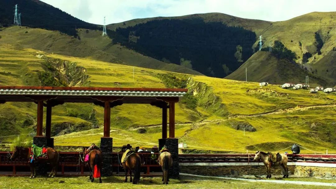 [藏南]你知道川藏南线和北线有什么区别吗？