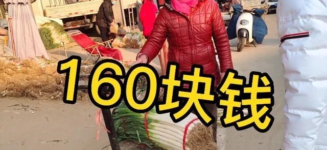 哈林酱ha 疫情下!河北石家庄大葱猛涨,一捆葱卖到160元