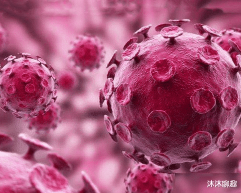 『美国』病毒来源新证据！日本科研人员发表论文：武汉的病毒与世界其他地方的不同