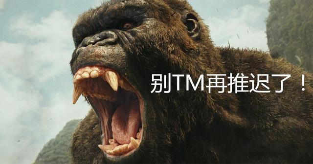 金刚：《哥斯拉大战金刚》曝官方剧情，怪兽战争被挑起，骷髅岛地位特殊