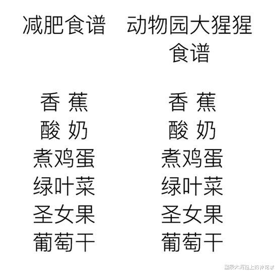 「老虎」王者对决：银背大猩猩遇到老虎！结果会怎样？