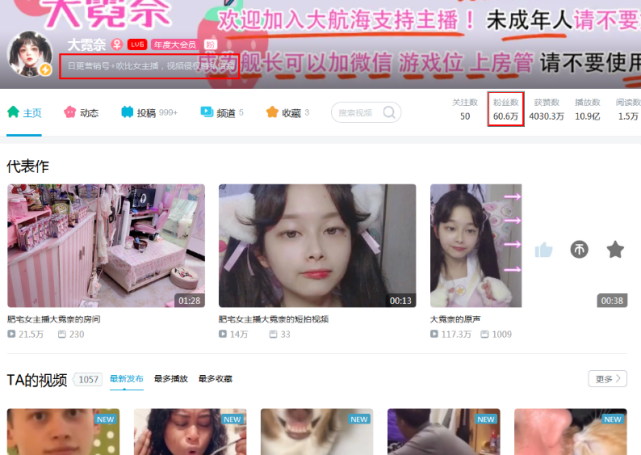 bilibili|如何评价B站大霓奈？依靠搬运拥有60万粉丝，成为B站知名UP主