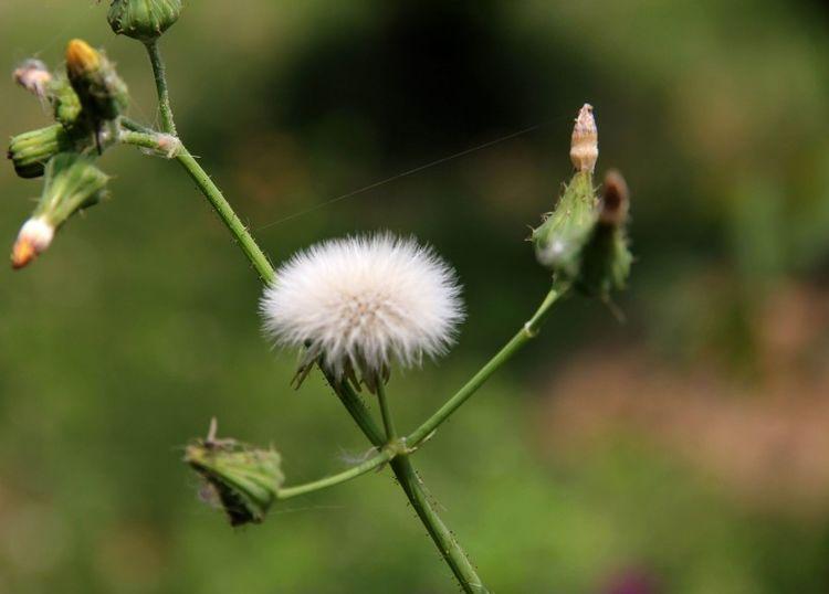 |在下半年期间，好运爆棚，福气多财气聚，出门迎财神的4大生肖！