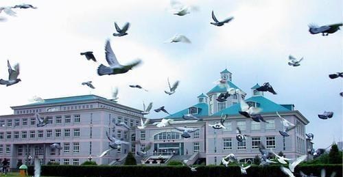 沈阳大学|征集志愿临近，建议多关注这几所二本大学，抓住最后的机会