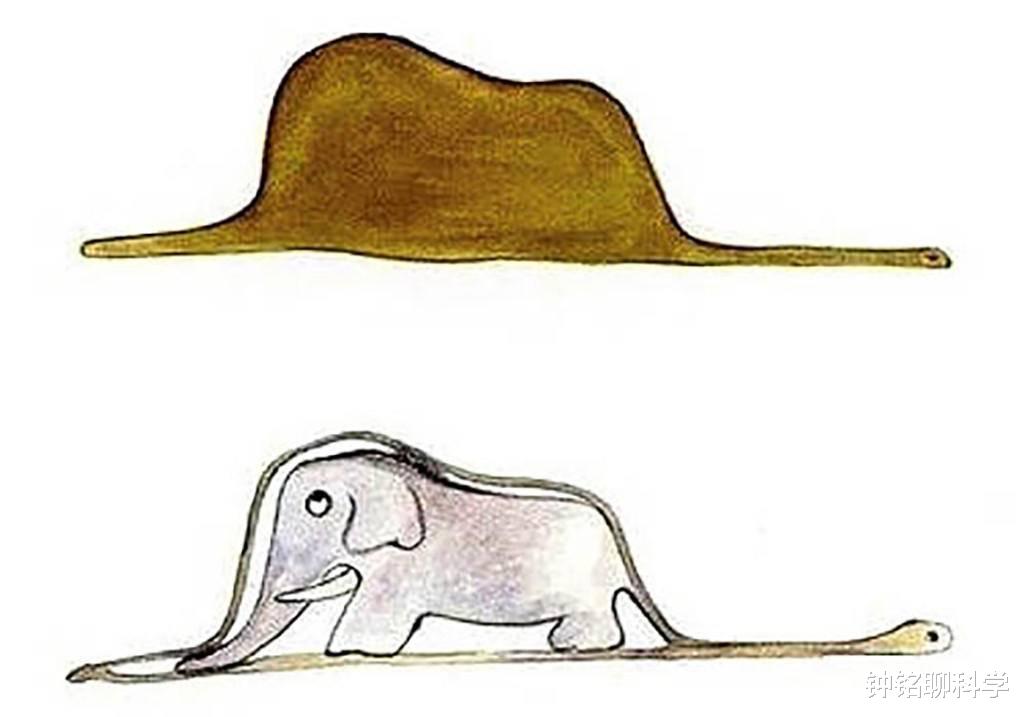 科学家：世界上最大的蛇是什么，有天敌可以克制它们吗？