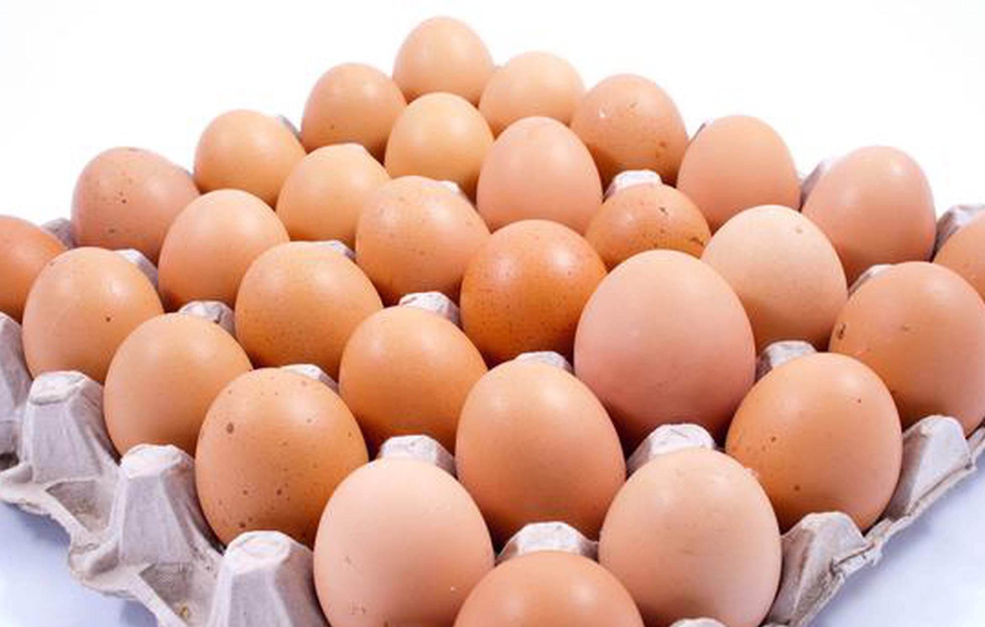 鸡蛋|每天吃一个鸡蛋好吗?赶紧看看吧,别再傻傻的吃了!