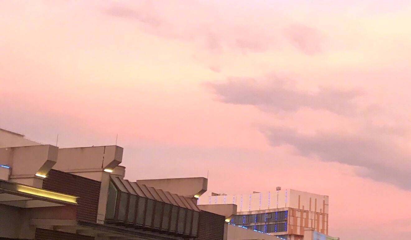 运势|猫巫占卜星座周运2020年8.3-8.9：怀揣着憧憬，踏实规划未来