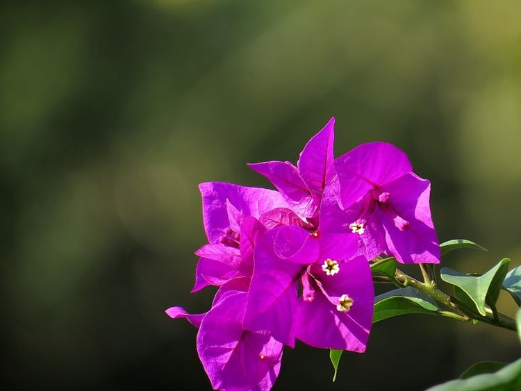 旧爱|10月上旬期间，前缘不散，旧爱重逢，目光里全是你的4大星座