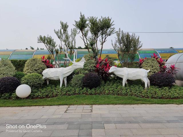 『互联网金融』新机一加8 Pro超广角体验：超高素质成像，打开新视野的大门