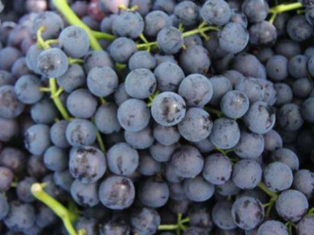 「肝脏」肝病的“克星”找到了，每天换着吃，排出肝毒，肝病或许不来扰