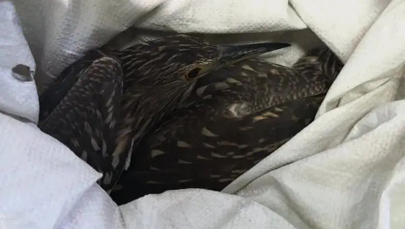 广东发布|住手！别再疯狂试探了！