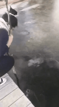 |“华为1996年的招聘广告，大家自己感受一下！”哈哈哈哈哈哈！