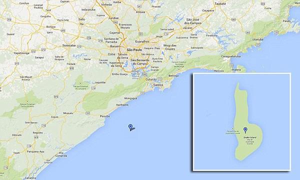 毒蛇|全球最可怕的岛:平均5平就有一条致命毒蛇,政府无奈禁止人进入