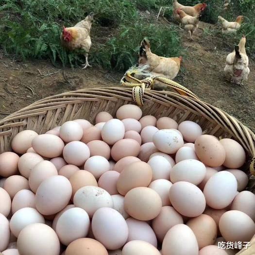 鸡蛋|夏天鸡蛋买多了，不要放进冰箱！教你农村土方法，放1个月都不坏