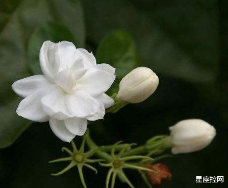 |哪些月份出生的人,靠自己的努力打开事业之门,能得到贵人青睐!