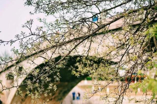 石家庄|中国名字“最土”的城市，明明是个二线大城市，名字却像小村庄