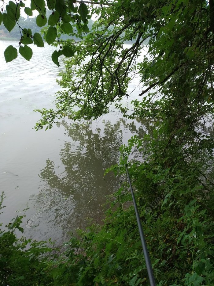 ：钓鱼时常空军的原因你知道吗！