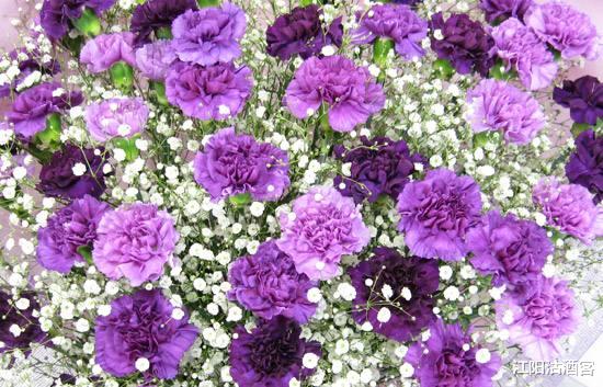 『生肖』最近七天底财运一路飙升，好事缠身，注定出人头地的3生肖，生活幸福